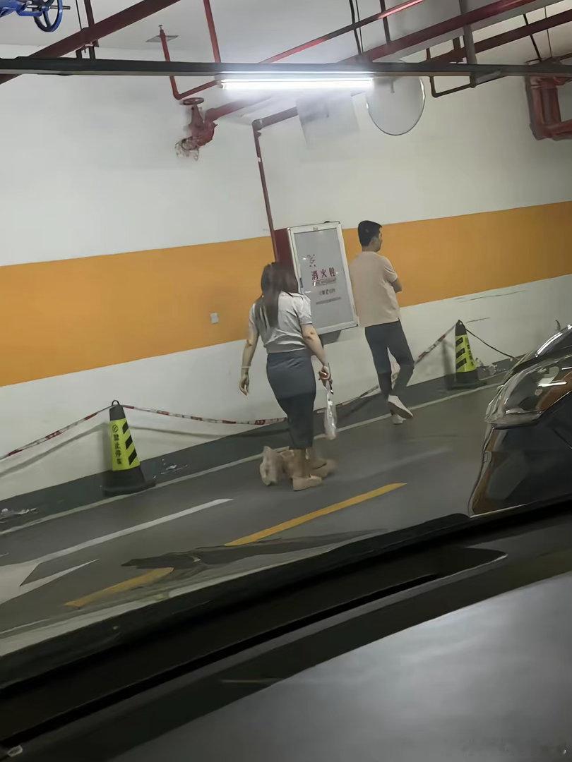 下班一个人坐在车里的时候看到这样一幕是什么感觉