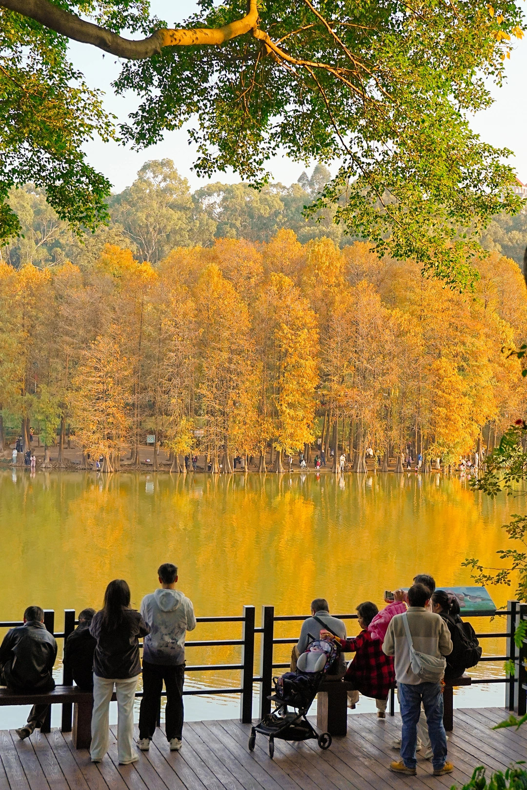 下午4点⏰麓湖这样走🗺️理想放松路线！