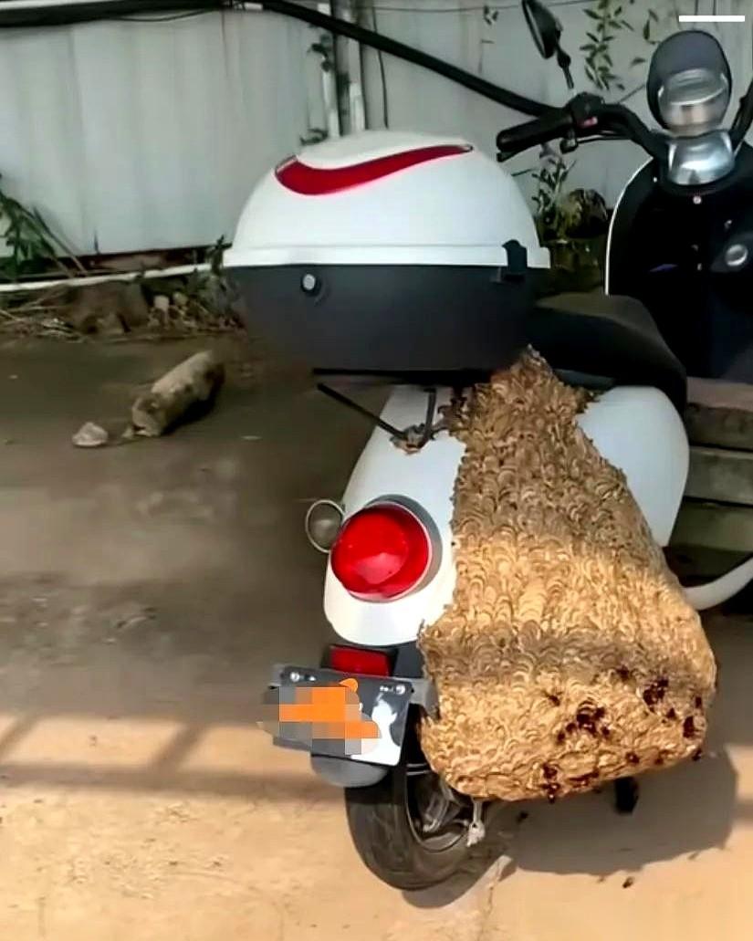 家门猛地推开，他手里提的行李袋像灌了铅，直愣愣地砸在地上。眼前这一幕，让他呼吸一