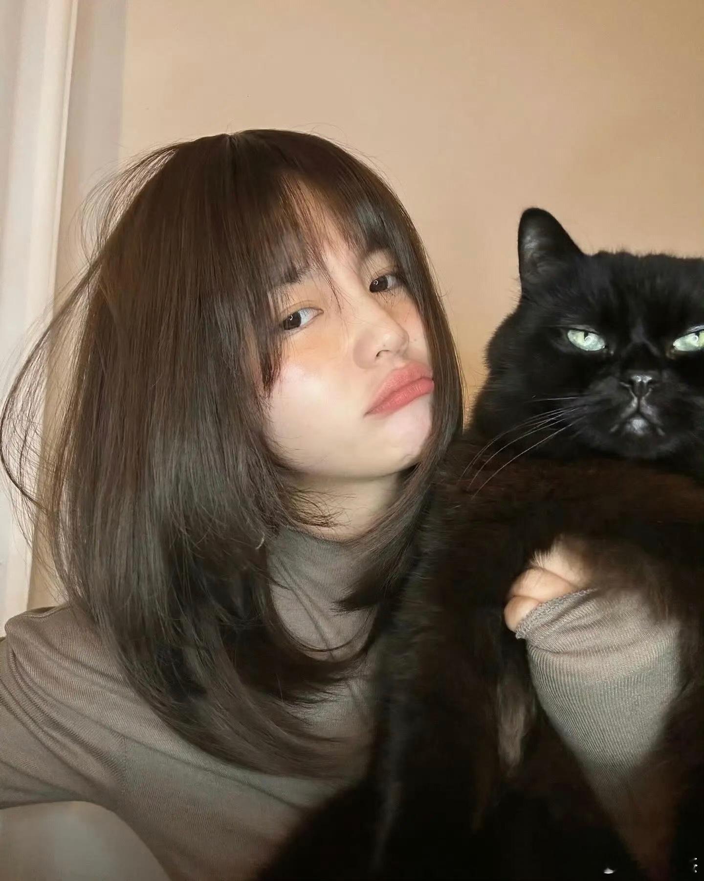 万万没想到，这只猫的价格值万元以上。