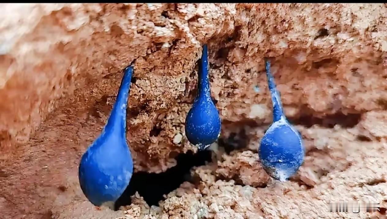 这泼天的富贵啥时候能轮到咱普通人啊？看得我是真眼馋！前阵子四川达州有个开挖