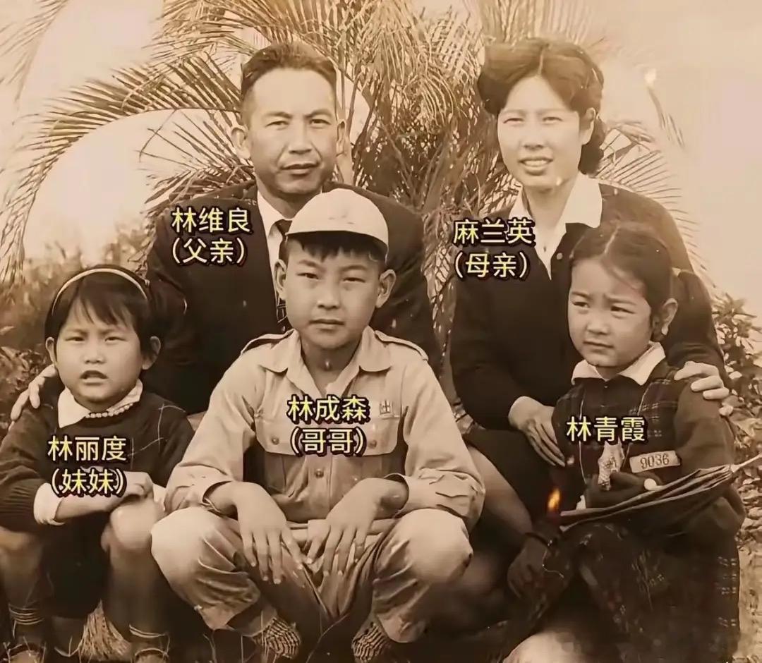 林青霞小时候和父母、哥哥、妹妹的合照，长相一点都不出众。她是“女大十八变”这句俗