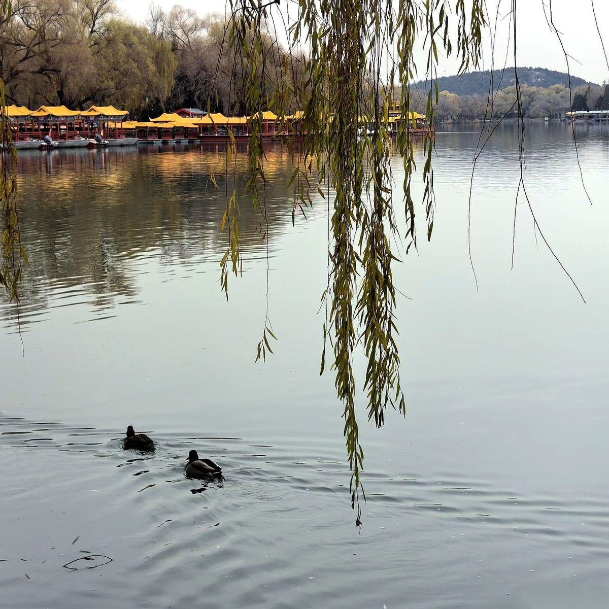 我跟你说，今天在颐和园，真给我看急了。七八个老外，四五十岁的样子，围在石舫那边