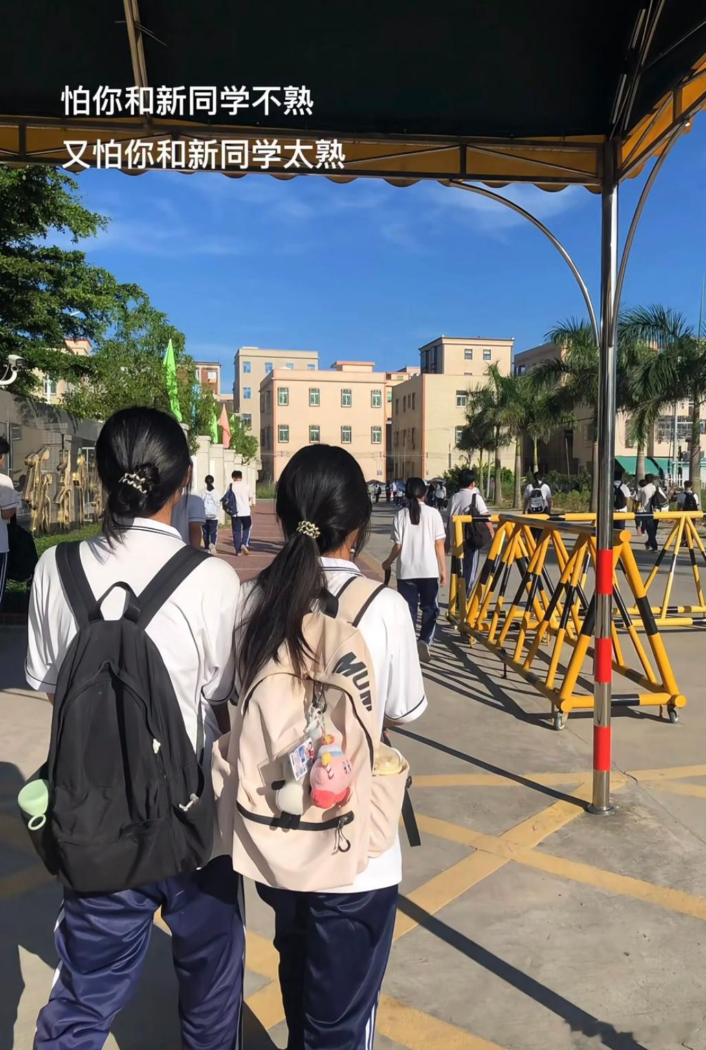 你是我开学唯一带不走的行李​​​