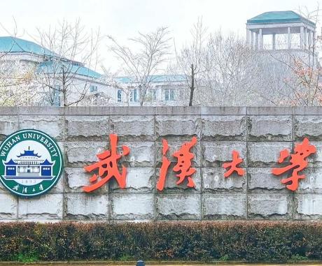大事不好了！武大想悄悄撤处分了事！武大这事办的不地道处分悄悄撤了但是