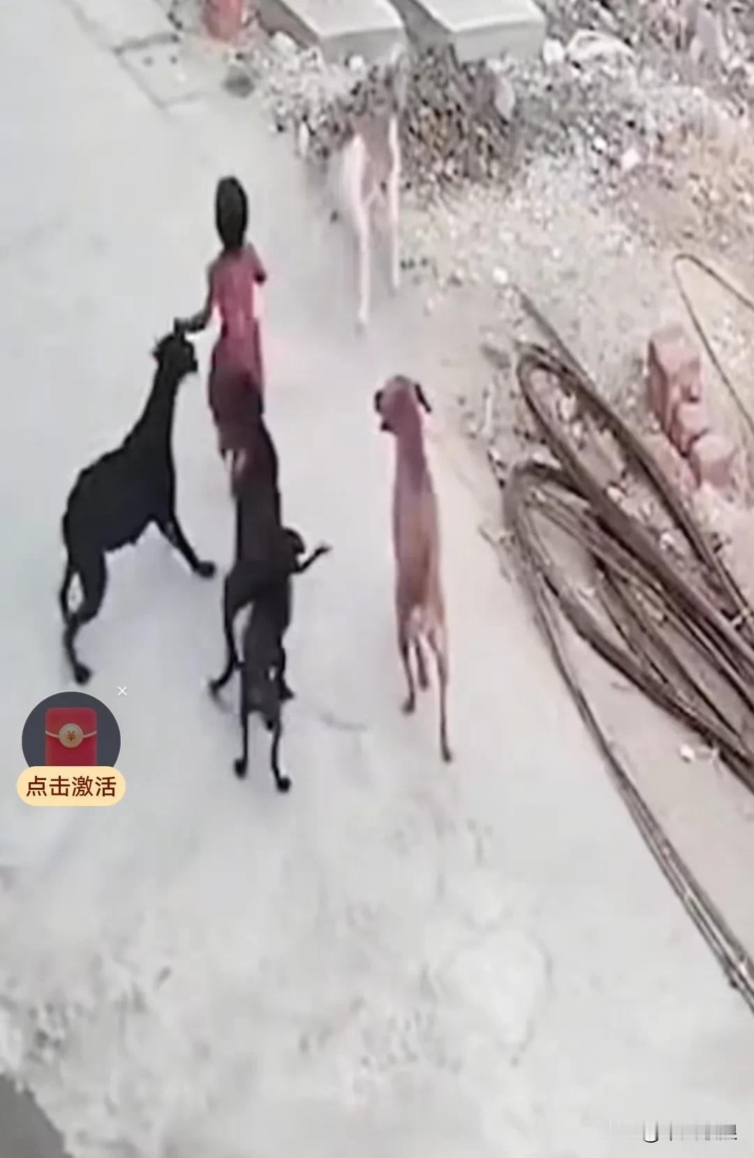 一女孩在路上玩耍时，突然窜出几条恶狗追逐并撕咬她，女孩瞬间就被扑倒在地。幸好有一
