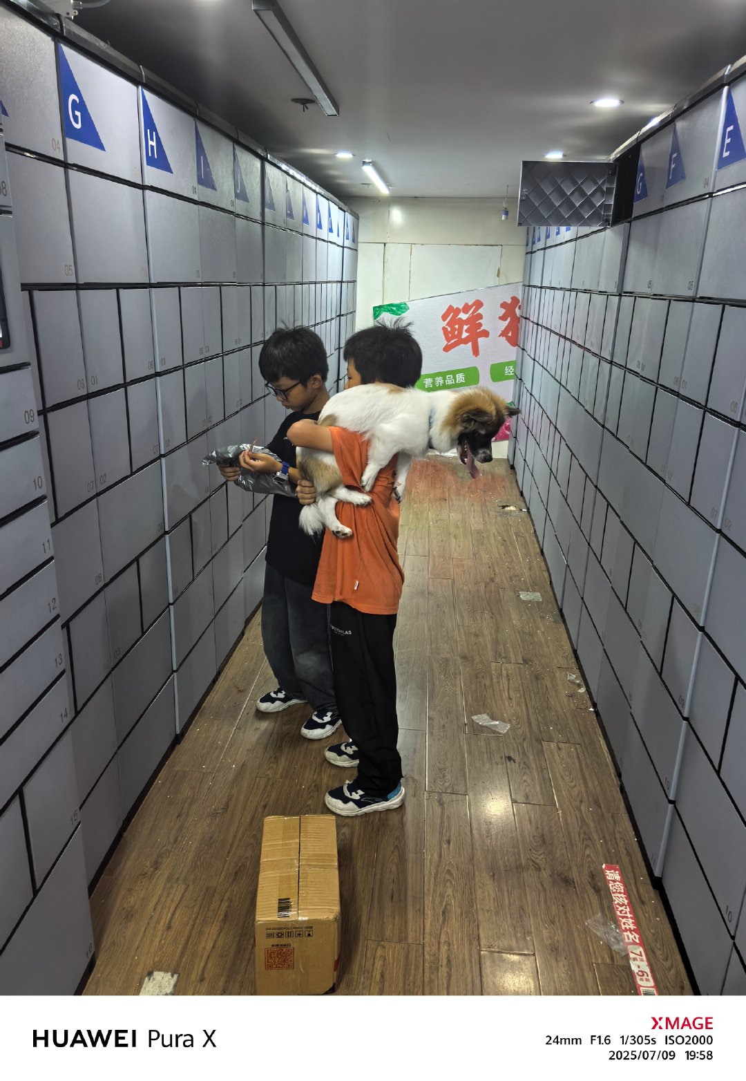 小孩哥和他们的好朋狗[大笑]​​​