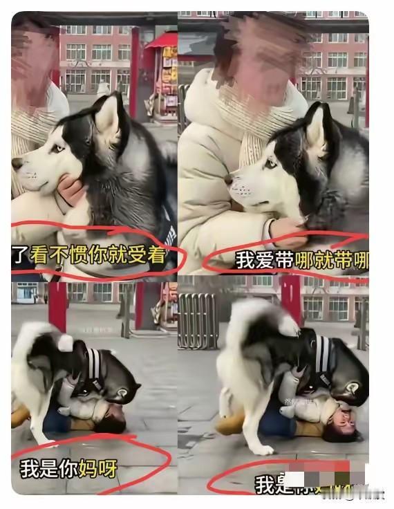 看着特别爽歪歪[呲牙笑][呲牙笑][呲牙笑][呲牙笑]