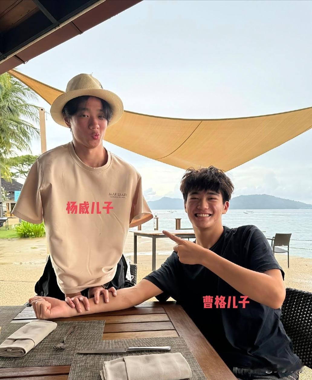 曹格儿子和杨威儿子一起出去旅游，两个小伙子才16岁左右，个子已经长得很高，而且很
