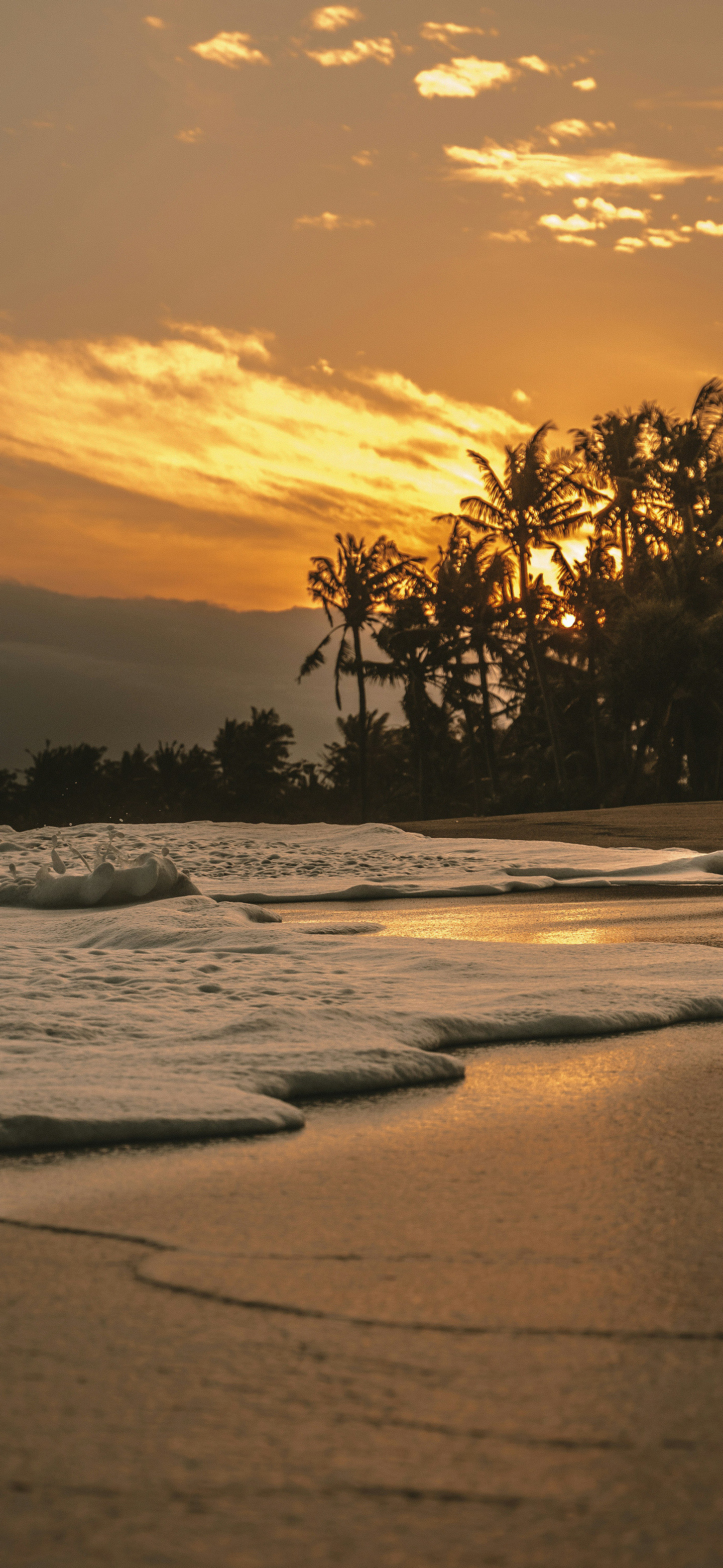 早上好又是开心的一天风景壁纸