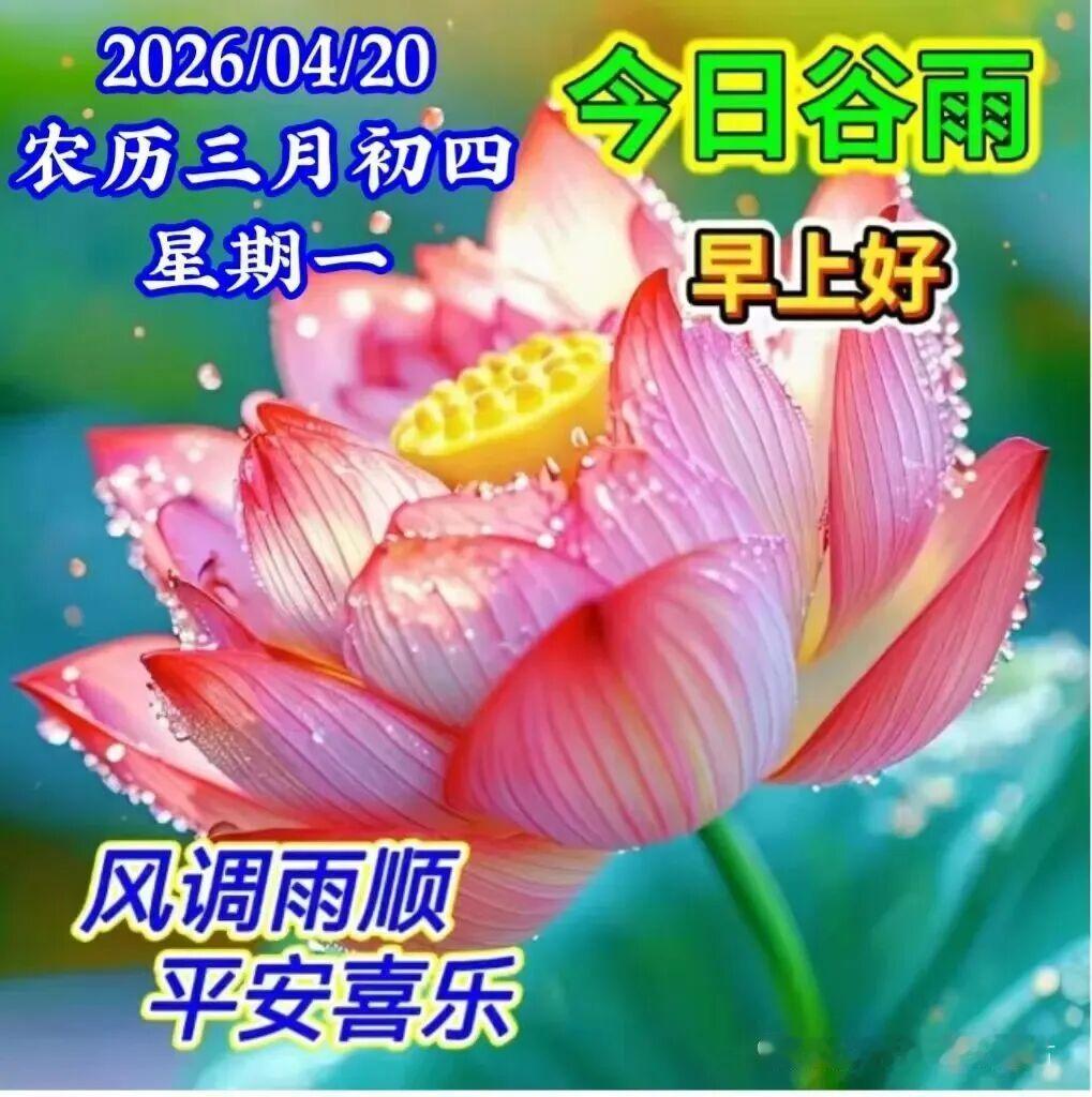 生活路上，人为贵；朋友往来，情为贵；你言我语，诚为贵；开心传递，乐为贵；身体安康