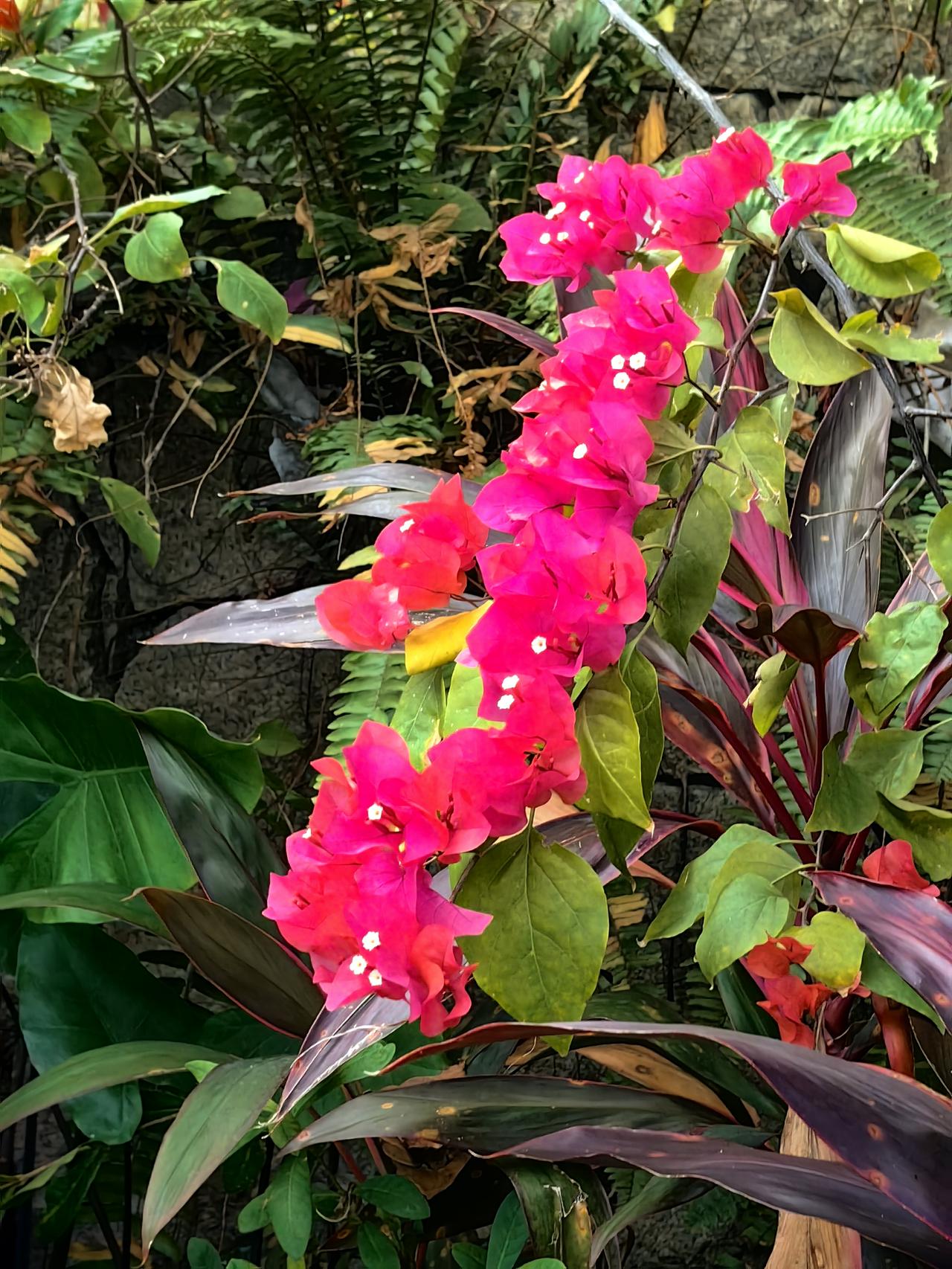 永励精密周三在北交所发行刚刚已经明确，周三（6月24日），永励精密在北
