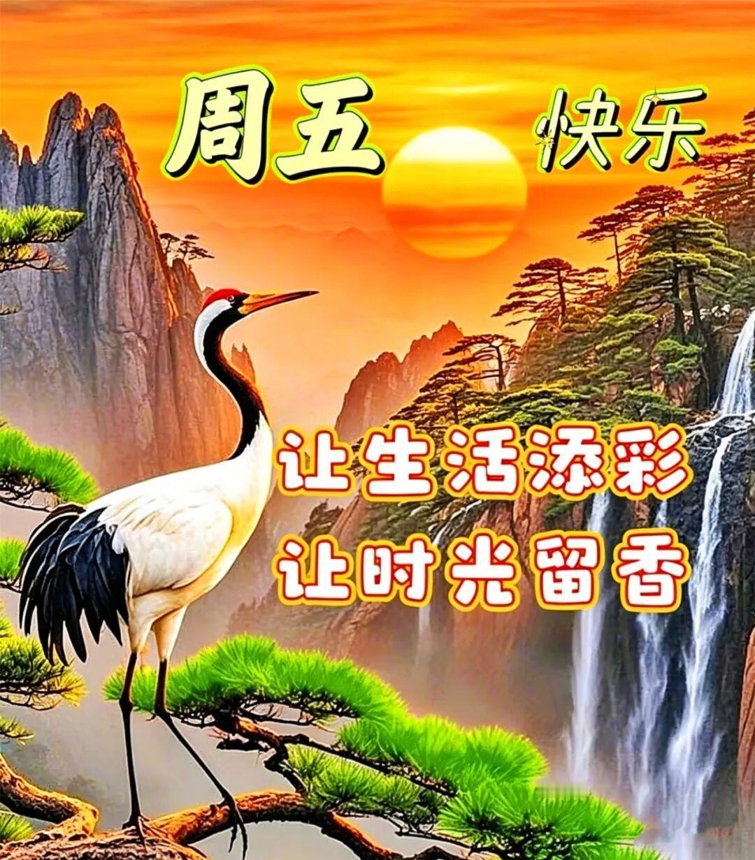 世上所有的惊喜和好运，都是积累的温柔和善良！把身体照顾好，把喜欢的事做好，把重要