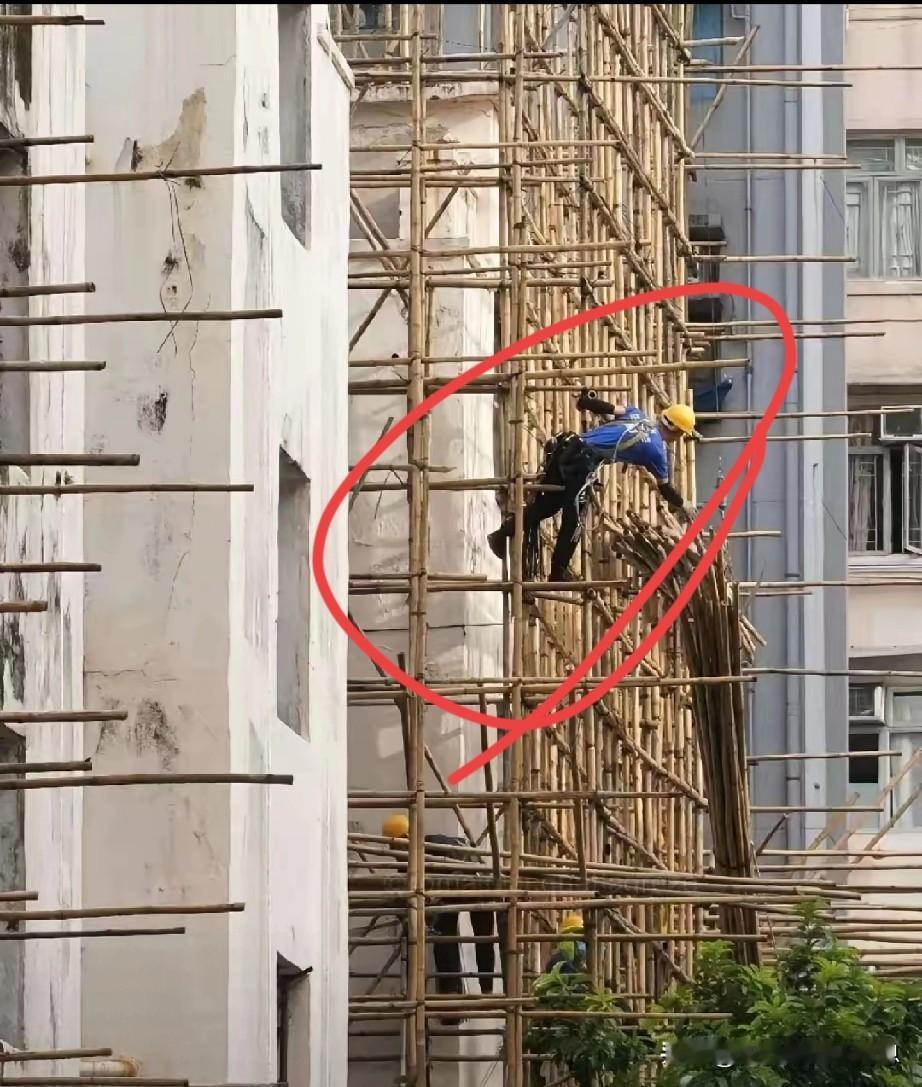 香港的脚手架一直用竹子搭建，不是因为方便，也不是因为技术问题，而是因为存在一个强