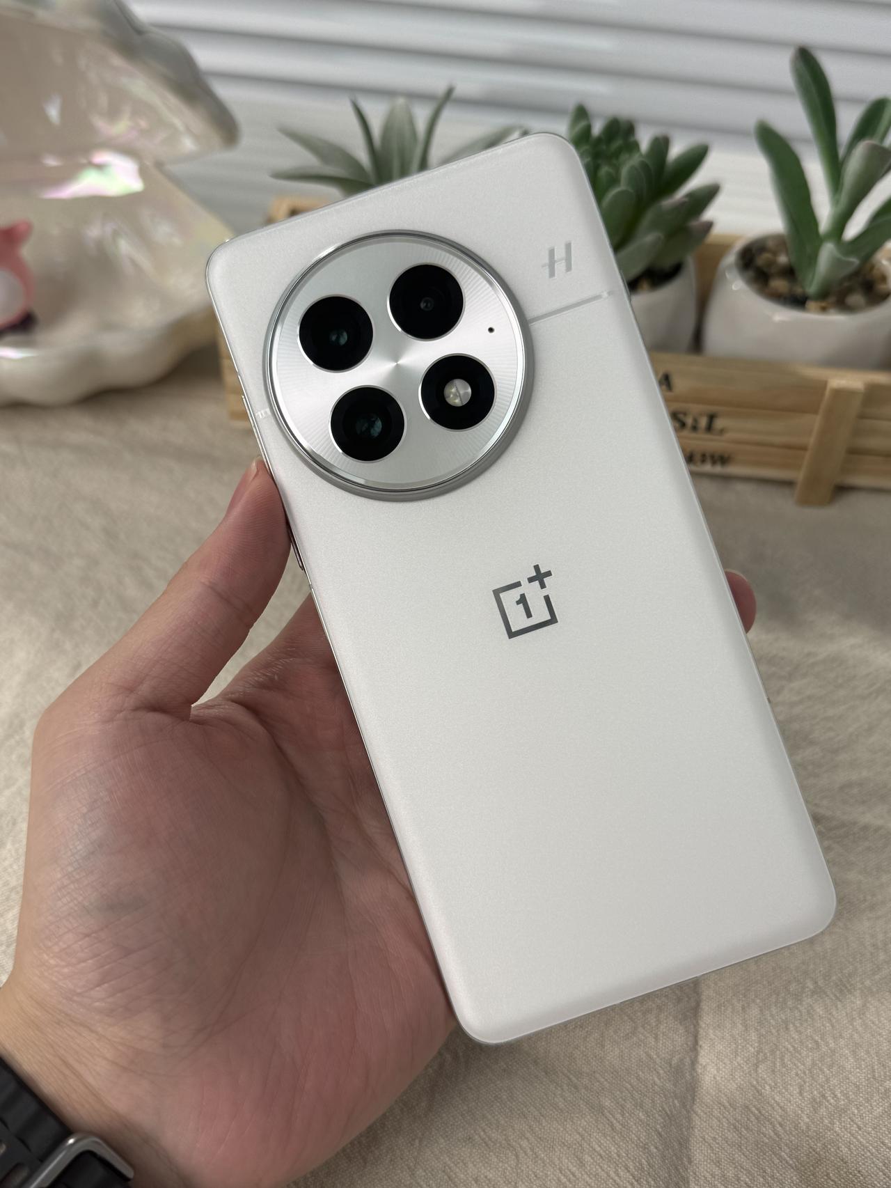 一加13会不会是钉子户最多的一代？感觉没有什么缺点，对比目前的旗舰可能就是电池