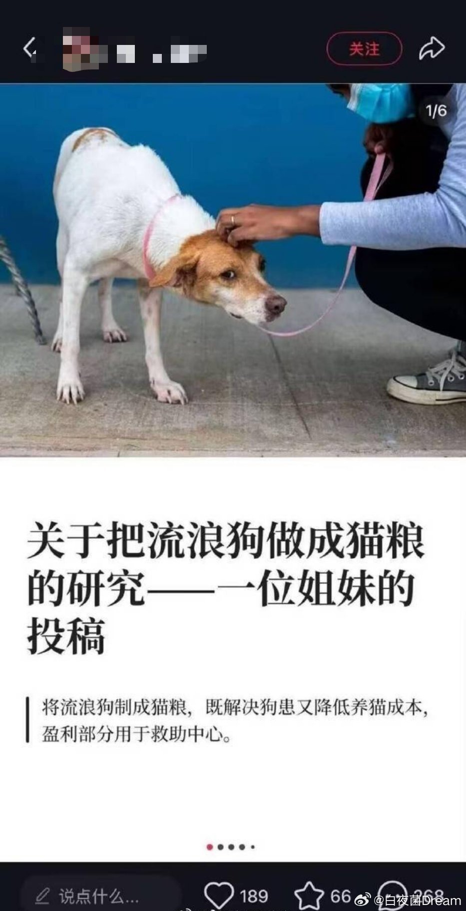 好家伙，把流浪狗做成猫粮