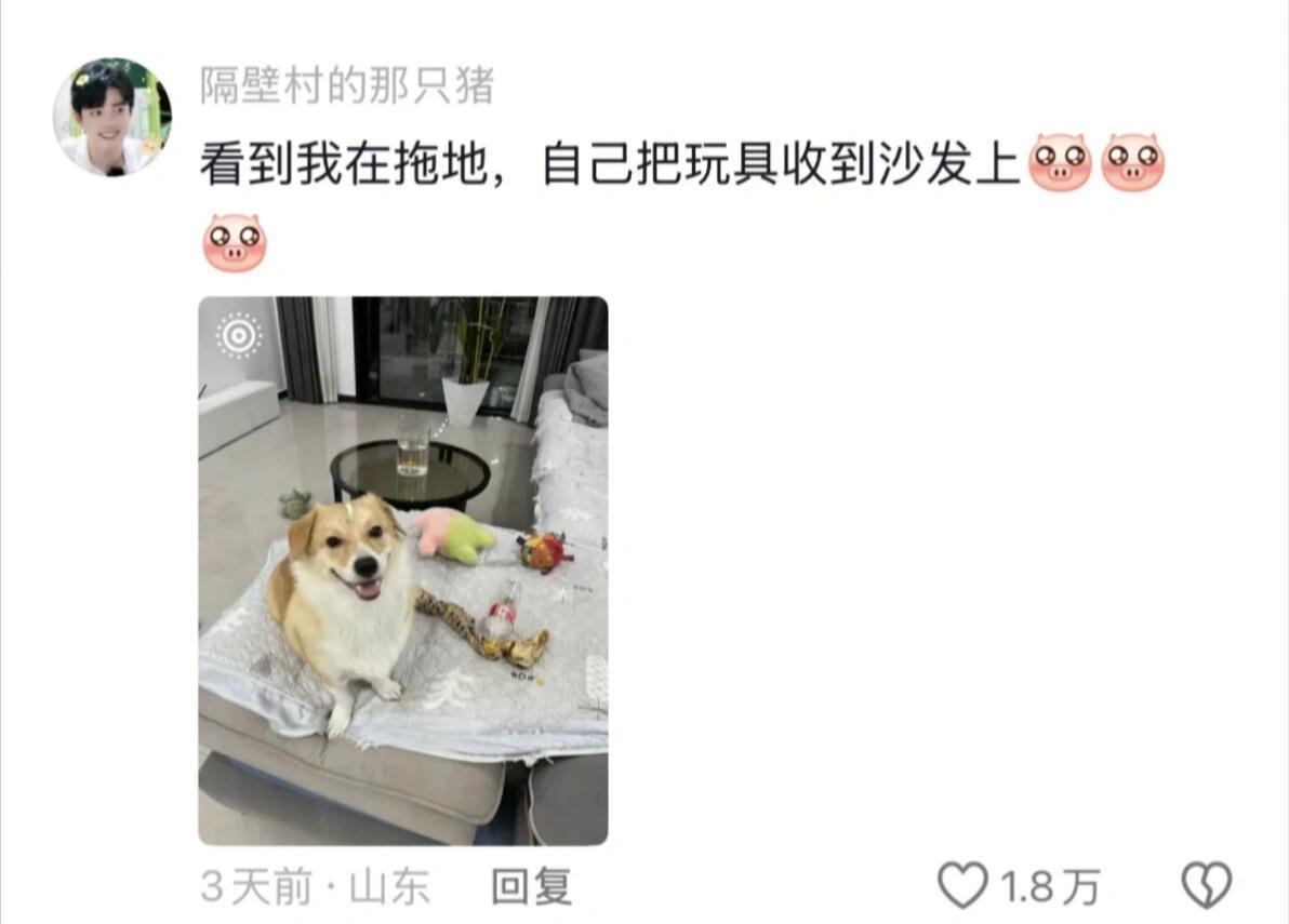 算了，和你们没狗的说不清