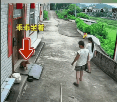 “太坏了！”一对夫妻在走路，经过别人家门口时，门口有一只狗狗，狗狗看着两人经过也