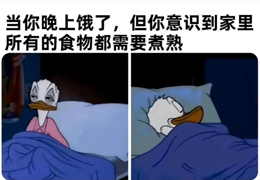 算了还是睡觉吧