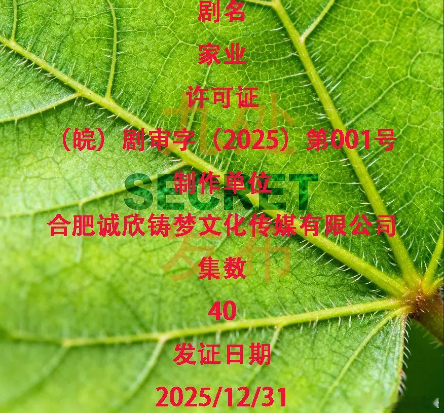 杨紫新年第一天就迎来好消息，《家业》过审下证！！！