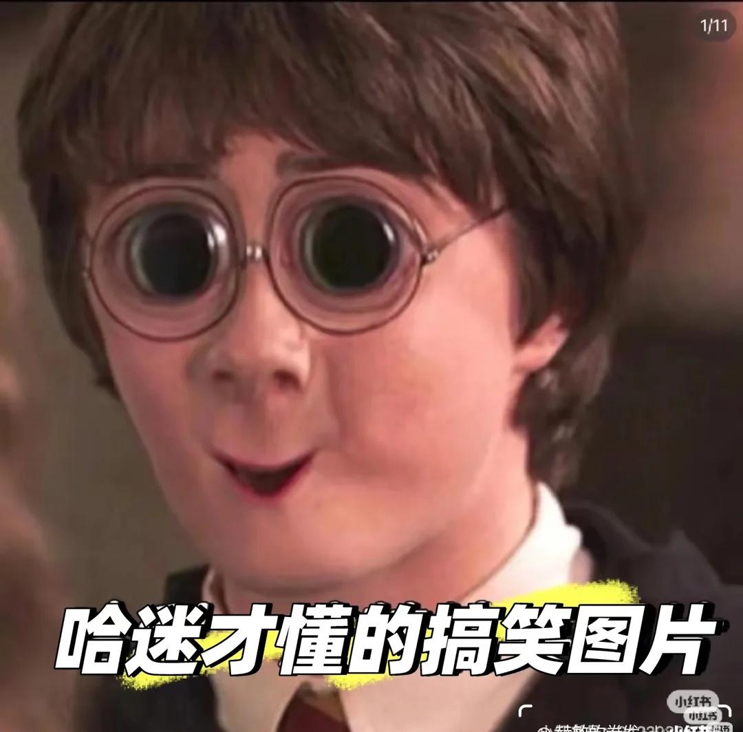哈利波特搞笑图片，只有哈迷才能看得懂哈利波特梗图搞笑