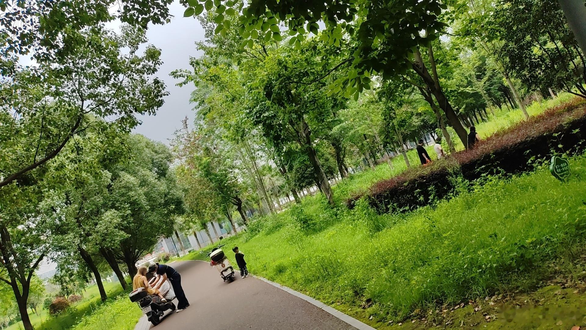 没有睡着，我公公去上班后，我婆婆一直在叫小姑子起床，一会儿又骂几句一会儿又骂几句