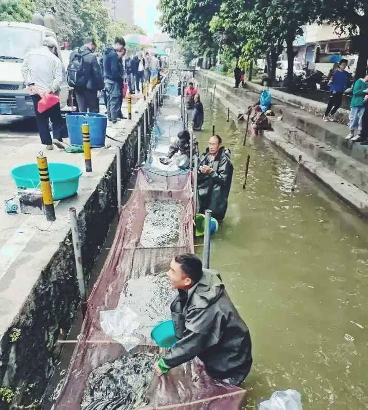 再也不给城管添麻烦了