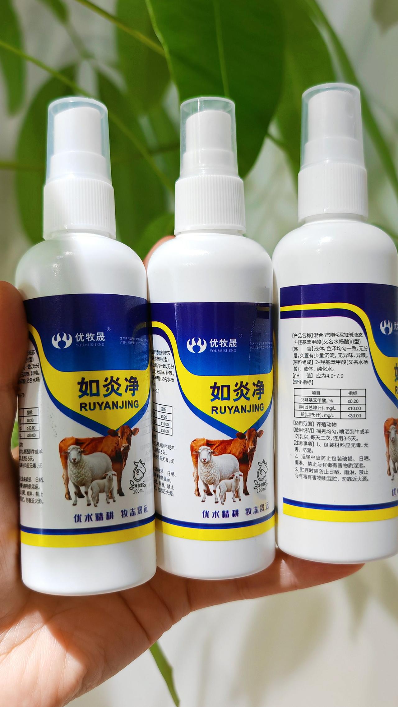 养羊人牛羊养殖农村养羊