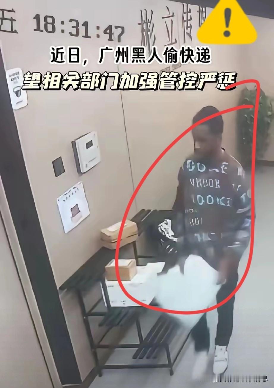 包容不是无底线的纵容，来他国生活就要守规矩——广州这座城市一直很包容