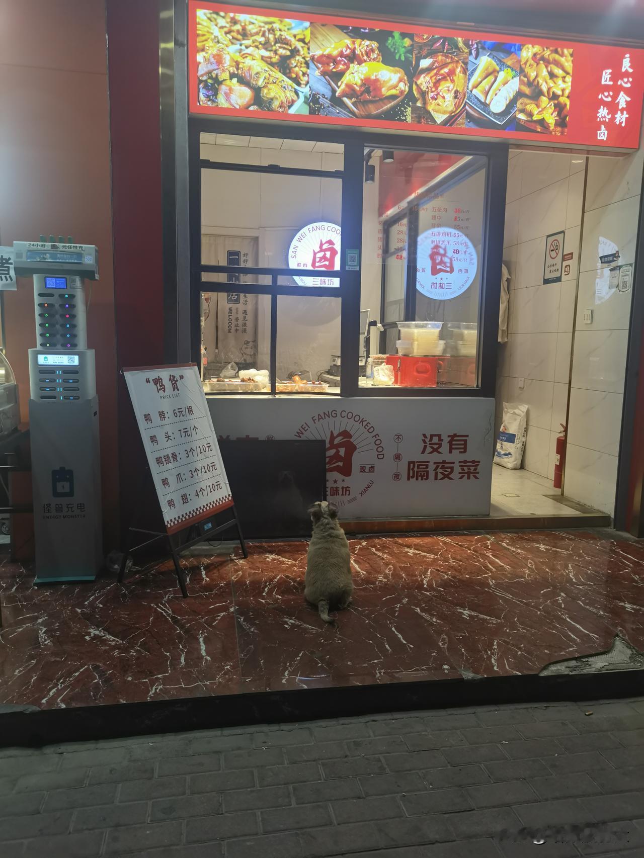从体型上看，这条狗狗应该是这家卤味店的常客了！