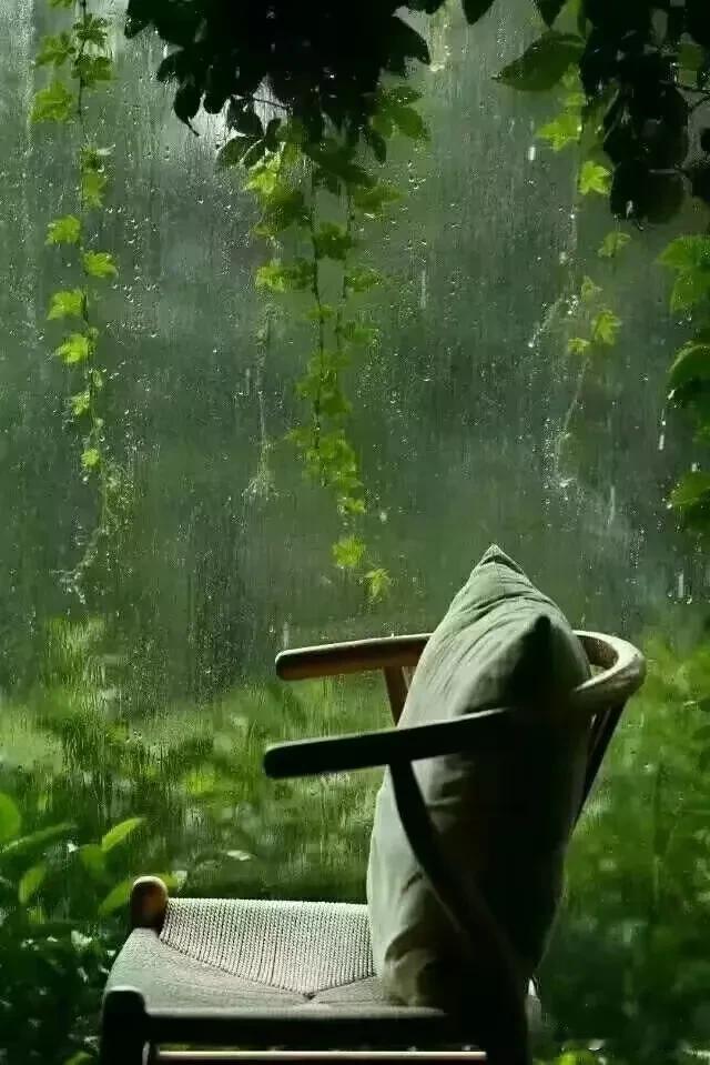 你执着什么，什么就是你的道场。放不下什么，什么就是你的修行。很多人以为修