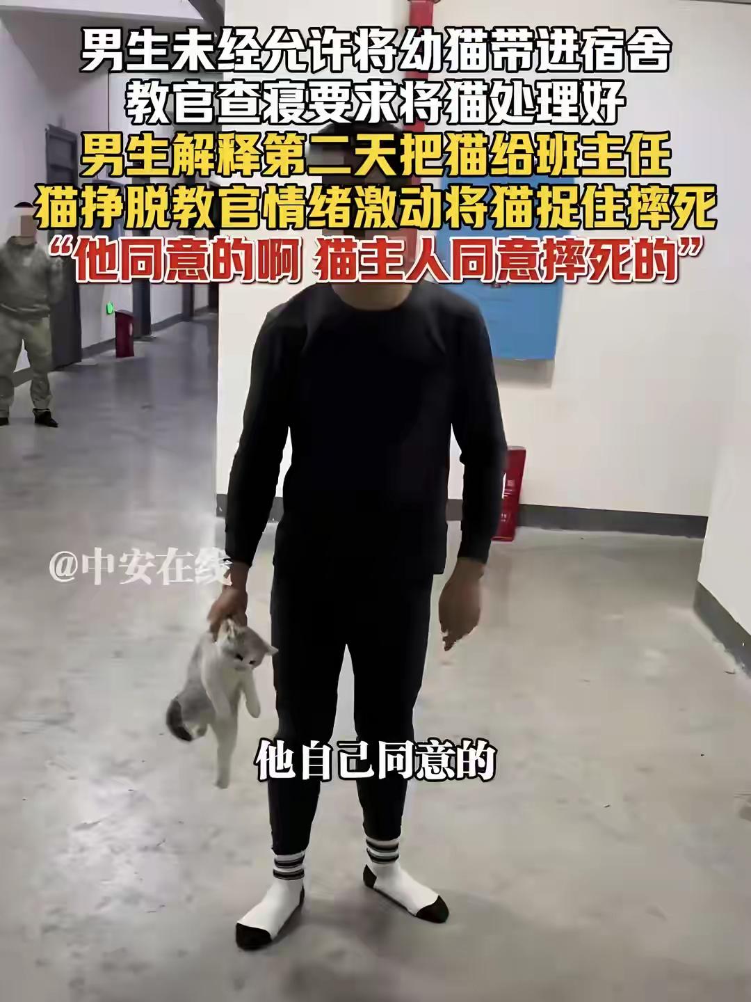 看到教官摔猫事件我发现个扎心的细节：从争执开始到最后悲剧发生，在场的人里，居然没