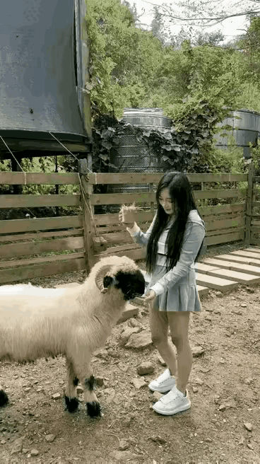 这羊太不厚道了，小姐姐被撞得不轻啊。社会百态