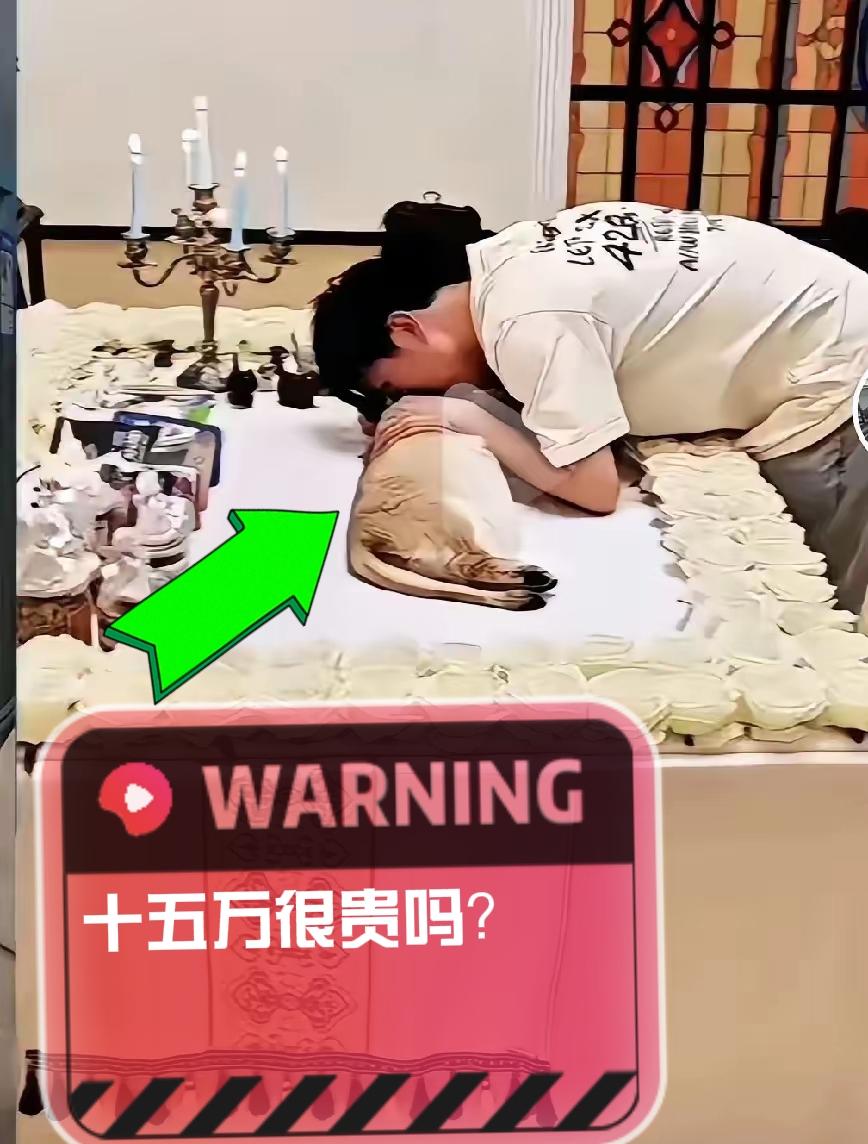 十五万很贵吗？一网友发文，说她的爱宠狗儿子去世了，她花了十五万给狗儿子办了