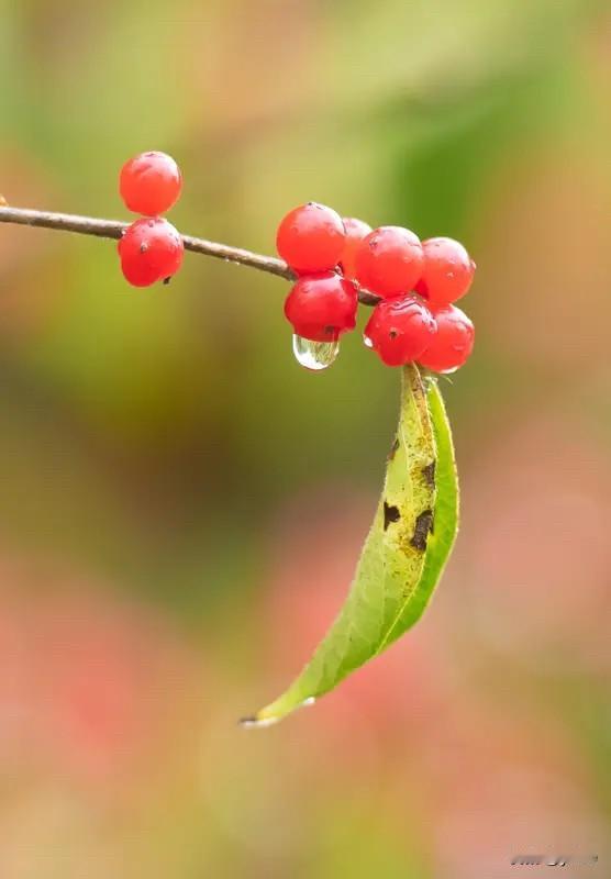 一曲相思何人共，诚邀下联“相思”是名词，可对“寂寞”“忧愁”这类名词。