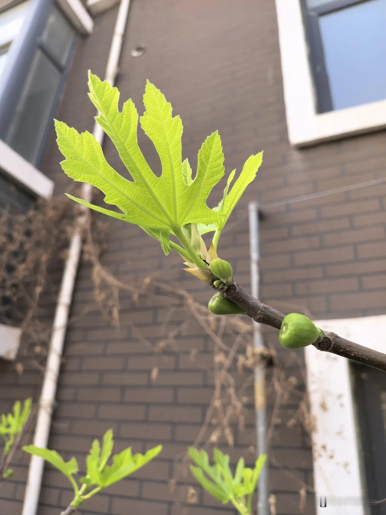 一段医生的忠告：“告诉你一个不容易得病的方法，那就是上天给你什么，你就接受什么，