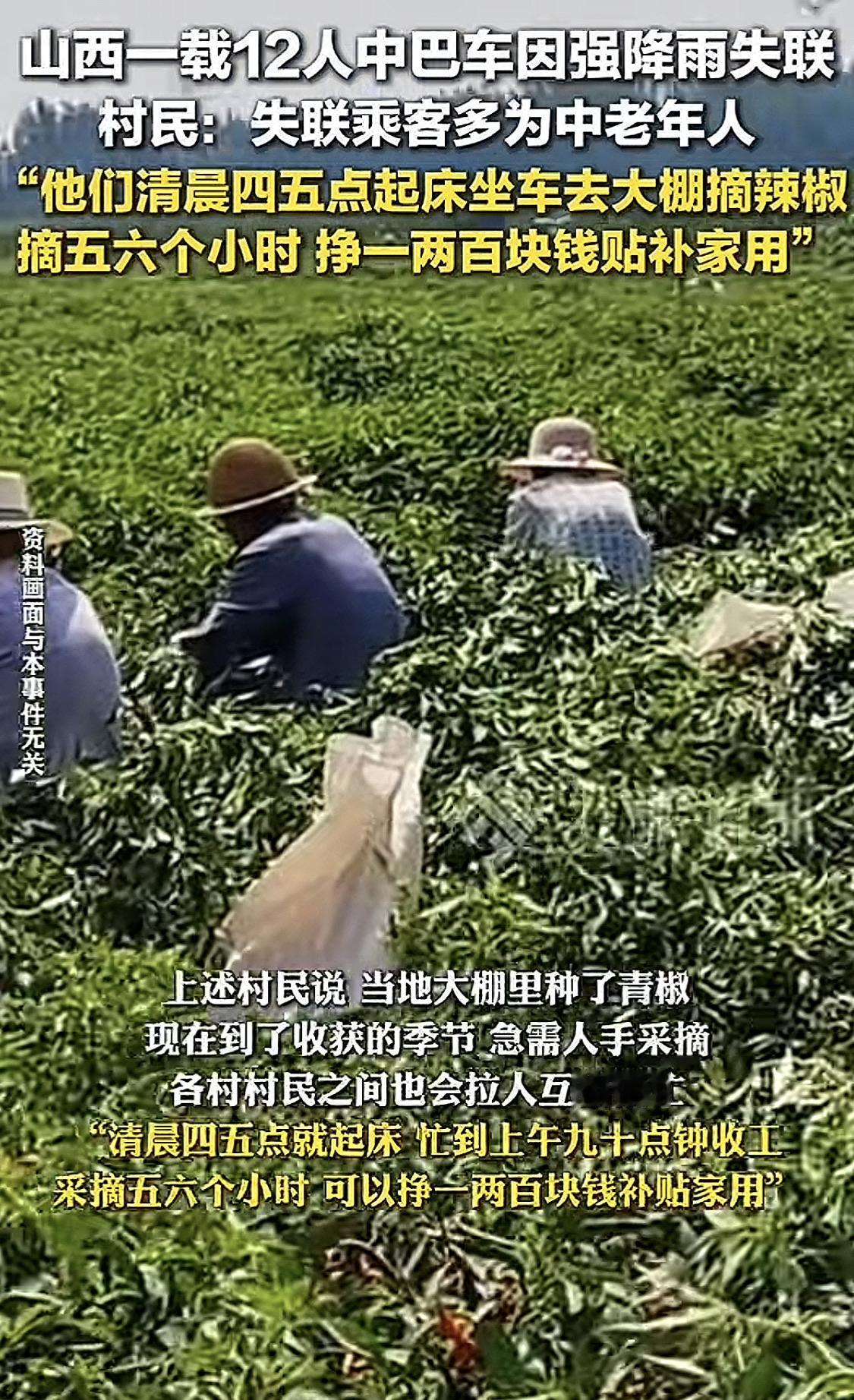都说早起的鸟儿有虫吃。可山西那12个人，却因为早起去大棚里摘辣椒，被洪水冲跑了