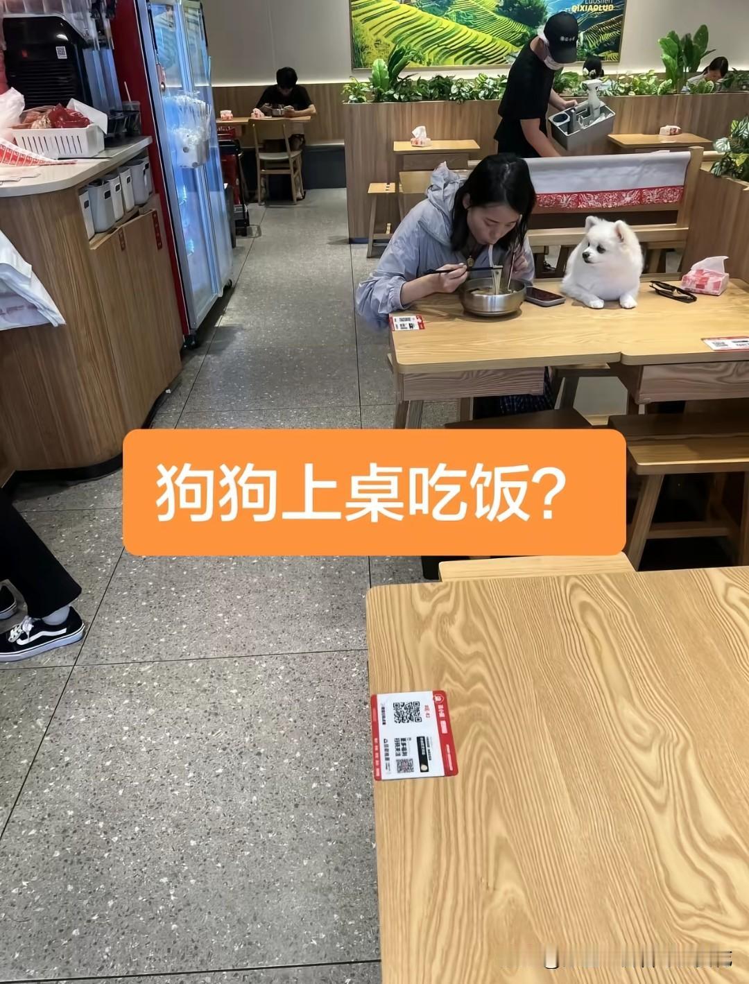 这是广东网友在东莞南城时代广场一家螺蛳粉店拍到的一幕，不仅狗上桌，而且还是在店员