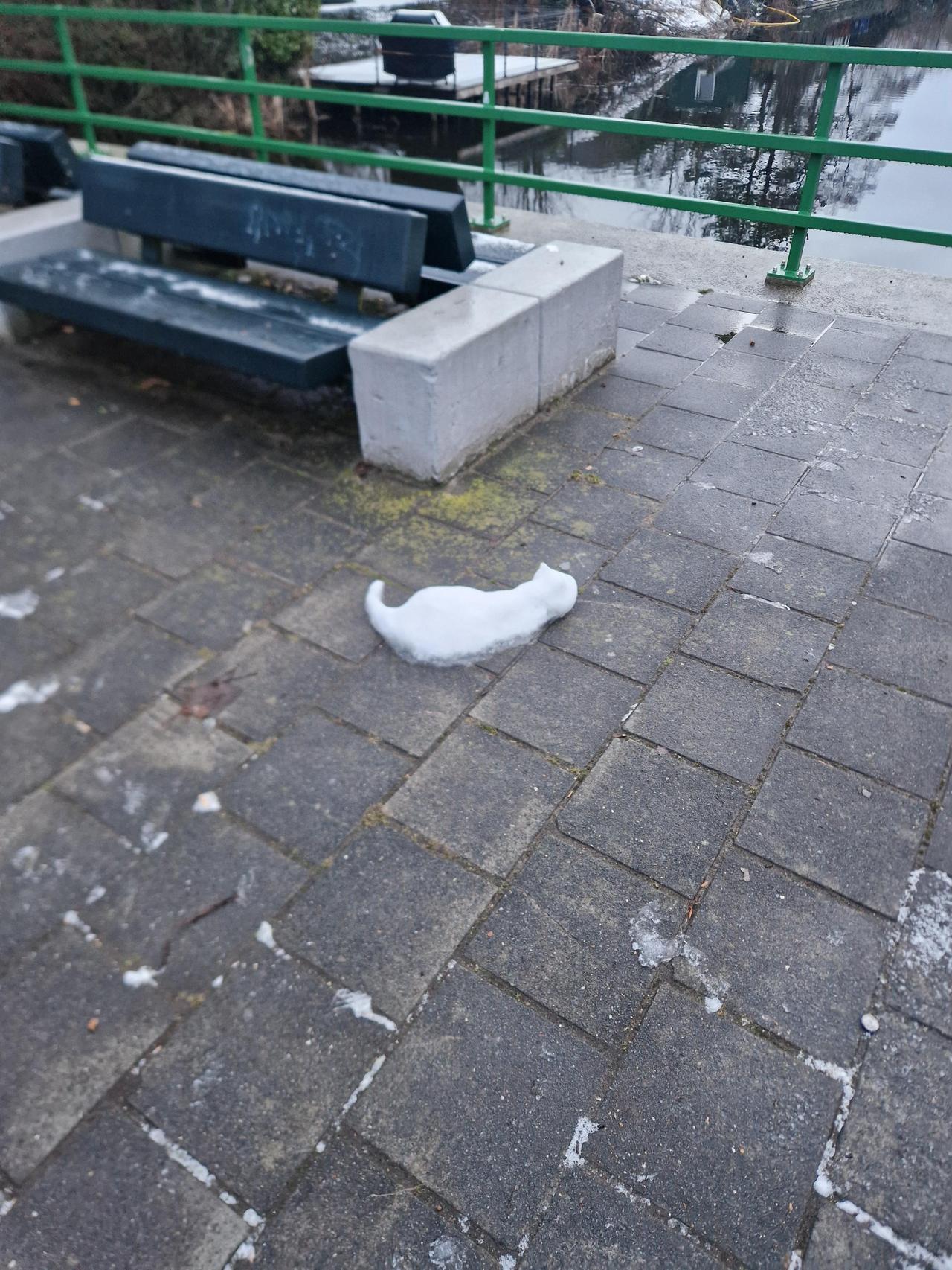 有人拍到一块雪，形状像只悠闲的猫。这是种寿命只有35小时的稀有物种。