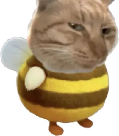 【比芝麻粒还小的脑子也能懂“节奏感”？】当我们跟随音乐打拍子时，大脑不仅记住了每