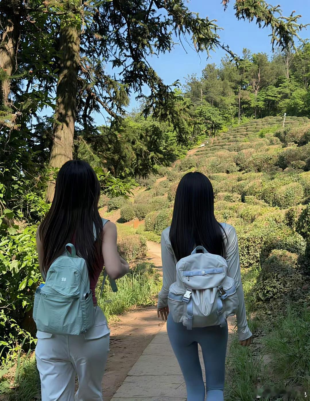 这就是你应该经常去爬山的原因