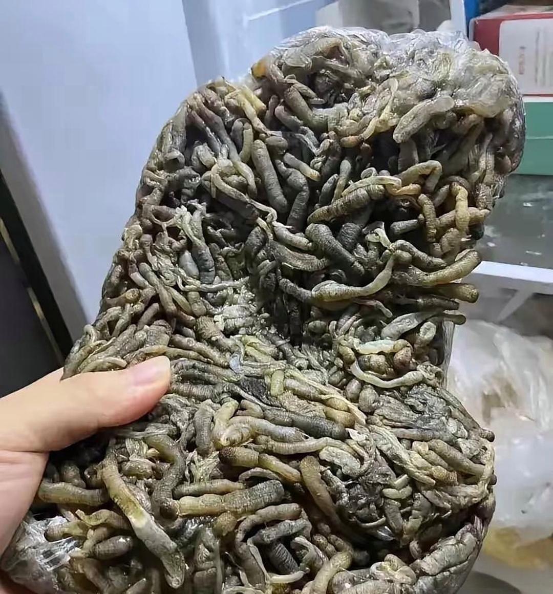 这朋友邮来的啥玩意啊