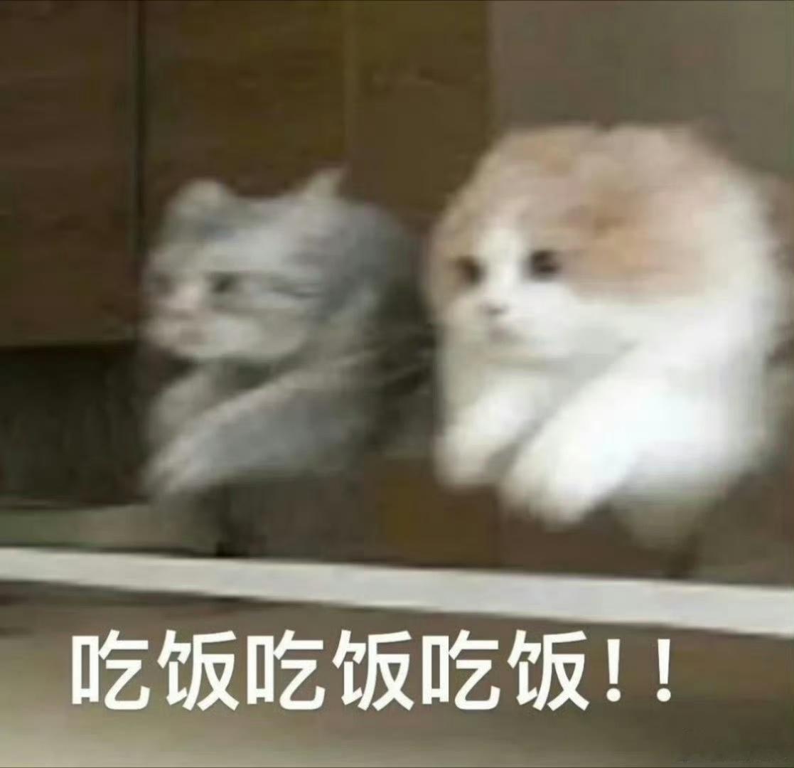 干饭时间！宝子们晚上吃什么好吃的？