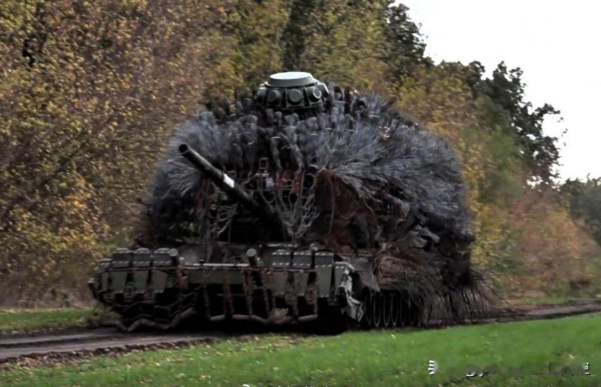 【泽连斯基：俄军在那里失去了主动权】泽连斯基11月3日对媒体表示，乌军