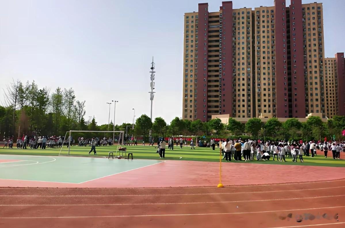 两个叔叔和我爸商量，希望让我爸专门照顾80岁的爷爷，他们一人一家每个月给我爸20
