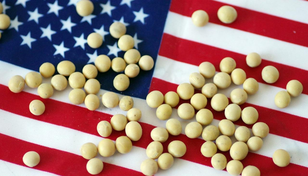 中国的“大豆耐心”已经耗尽。特朗普刚签完的“采购协议”，墨迹未干，就成了“废纸”