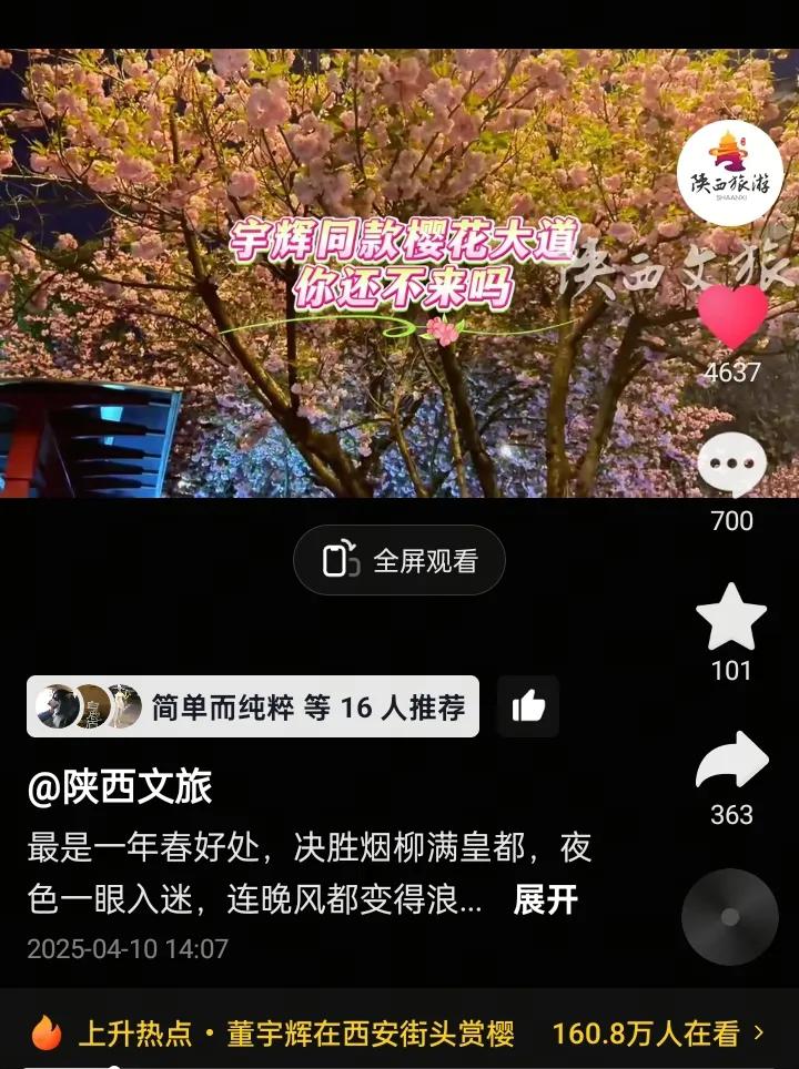 心怀鲜花款款而来宇辉朋友们打卡西安花树下的公交站台宇辉同行必有所获欢乐开怀@