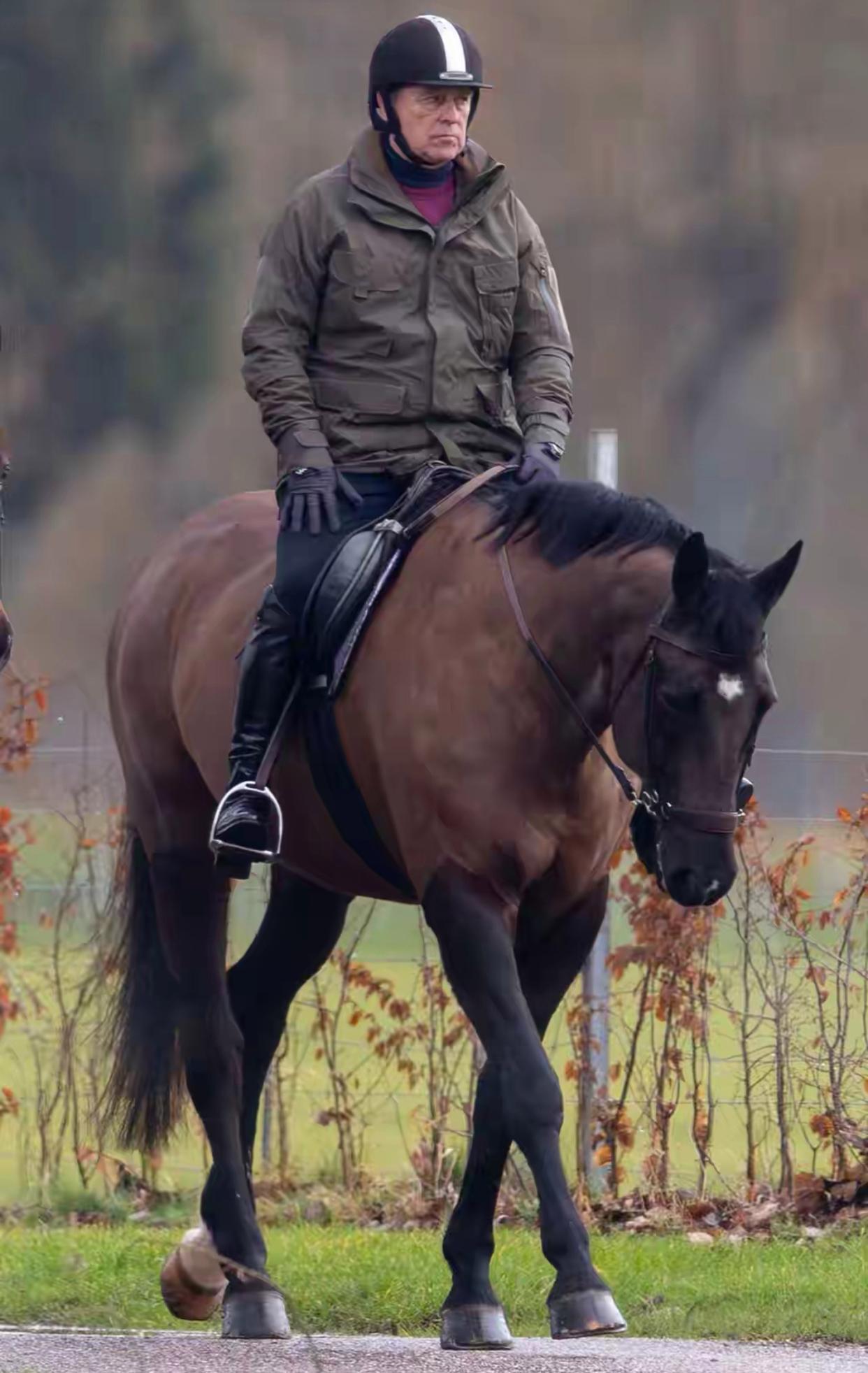 英国王室为体面：国王查尔斯三世与王子弟弟及时切割，法新社今天（2月19日）报道：