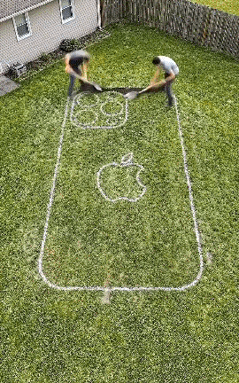 我总结了一下，他们是太闲了。