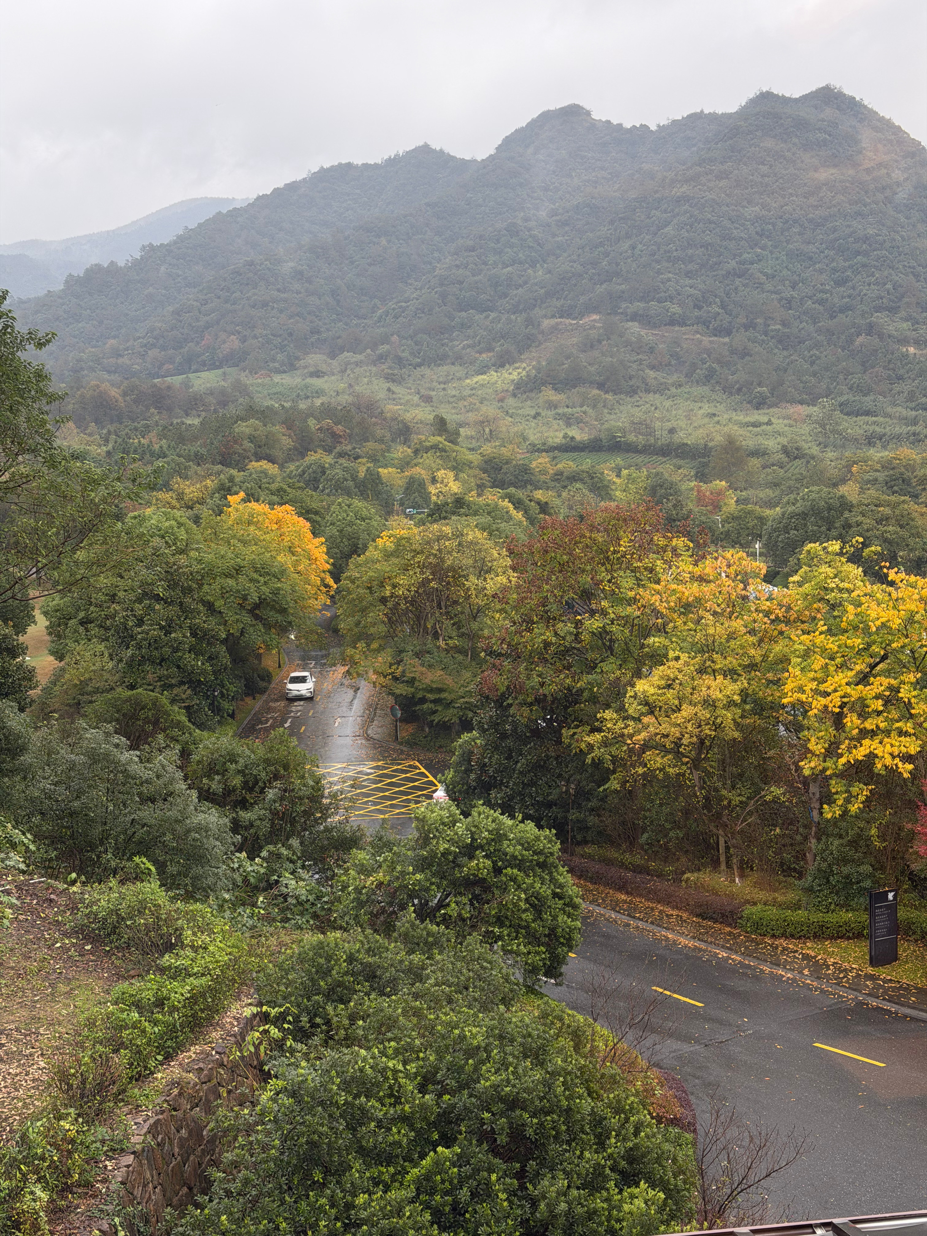 窗外的景色适合发呆，好舒服